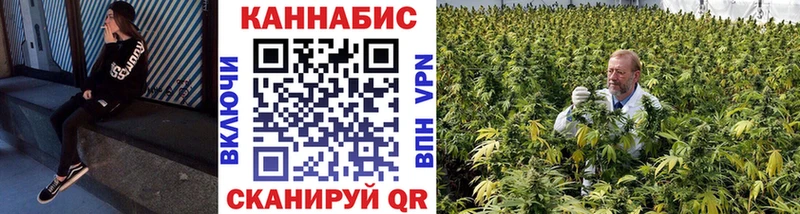 Купить где  Островной  Каннабис ГИДРОПОН 